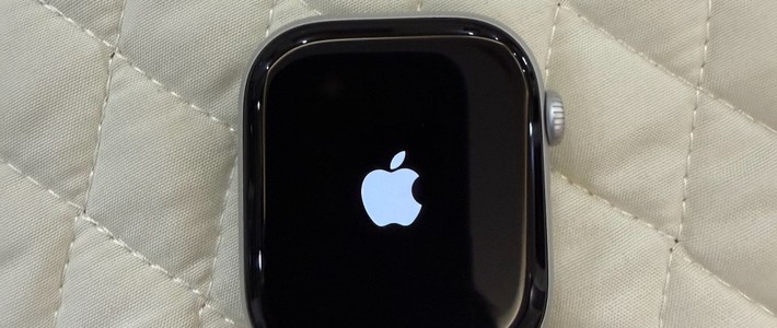 海鲜市场捡漏Apple Watch Series 10！