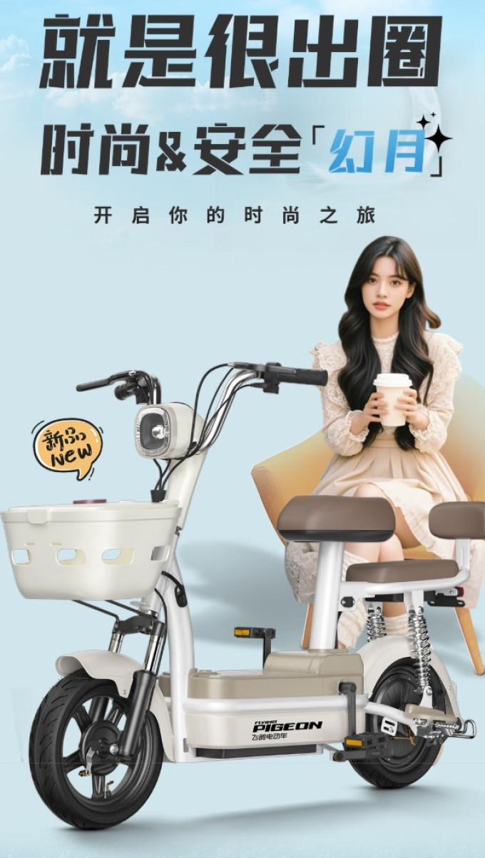 飞鸽电动车整车