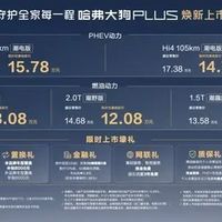 哈弗大狗PLUS上市，10.98万元起，配置升级诚意满满