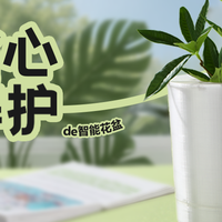 橄榄树智能花盆 这次真的解锁绿植养护了