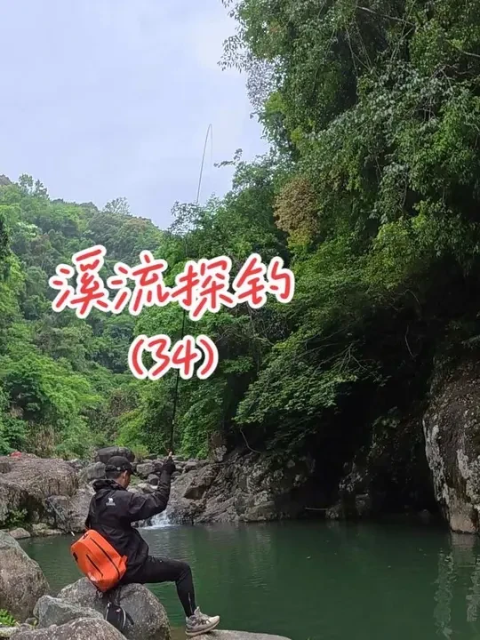 溪流探钓（32），探寻1斤2两超大溪石斑，这里巨物横行，目之所及巴掌大溪石斑！#溪流钓 #溪石斑 #全新北禾冷月轻量冠军版 #鹤渔人七星漂线组 #苦花鱼