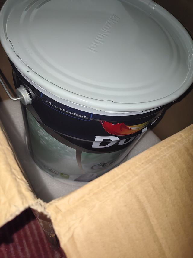 多乐士致悦竹炭抗甲醛墙面漆