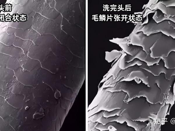 【自费7k+】2025年最新吹风机真人实测：高速吹风机是智商税吗？同诗F8、戴森、徕芬、追觅、直白、松下、飞利浦哪个牌子好？哪款吹风机性价比最高？