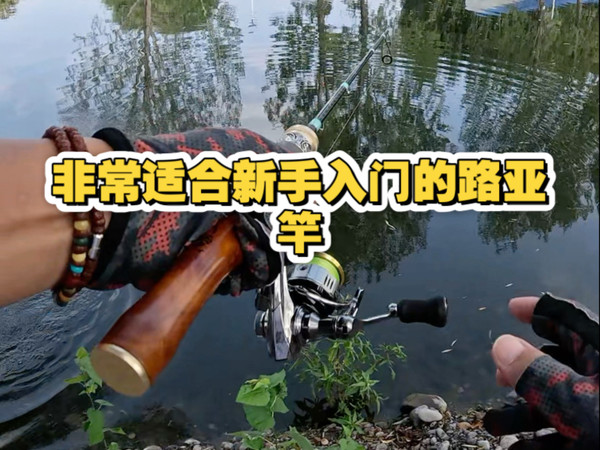 非常适合新手入门的路亚竿