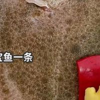 秋日鲜鱼推荐：鲈鲫带鳜