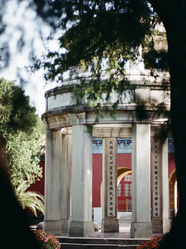 我用尼康和过期胶卷拍到了这个。在数字时代我选择了模拟——正式开始入坑胶卷啦～
胶卷将光影与时间定格在了底片上，银盐显影带来的粗糙颗粒是数字影像所无法复刻的温柔质感。它不像电子屏幕里的照片，每一次按下快