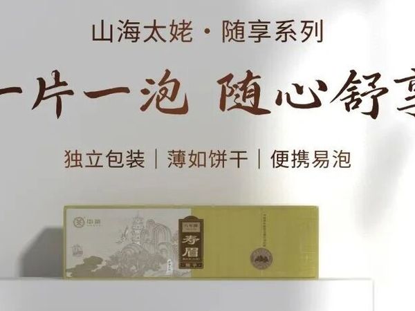 一片一泡 随心舒享｜中茶山海太姥系列随享，遇见刚好