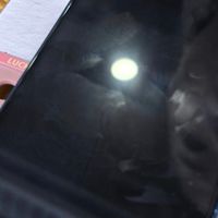 iPhone 12服役1532天的数字足迹