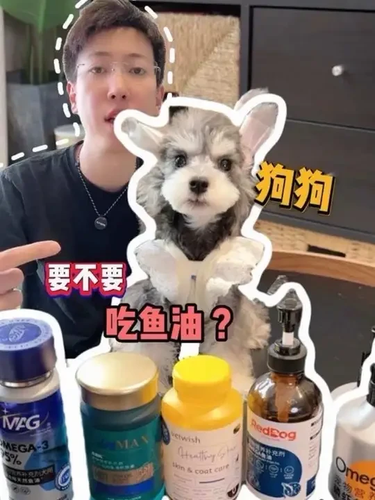 狗狗要不要吃鱼油？分享我们家吃过的6款宠物鱼油#宠物鱼油 #狗狗鱼油 #mag鱼油