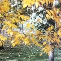 北京秋天郊区游：雁栖湖赏秋路线