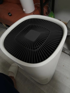 我家有氧生活小妙招：东芝大白梨带来的呼吸新体验