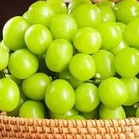 京鲜生阳光玫瑰:中秋团圆季的“绿宝石”盛宴
