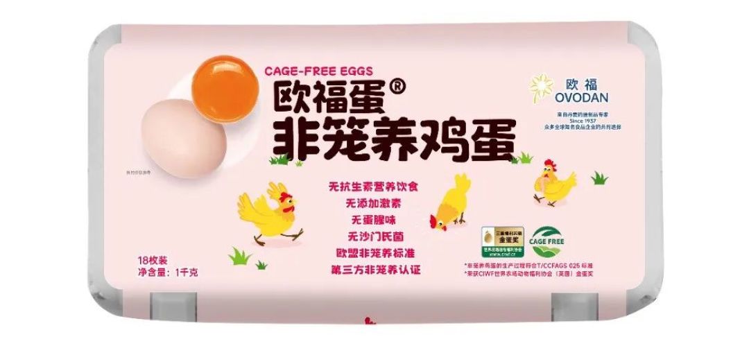 对话欧福蛋业刘文：“捣蛋”二十年，欧福预见中国蛋制品加工的黄金期即将来临