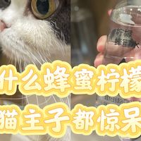 是什么创意柠檬蜂蜜水，让我家猫主子都惊呆了？！