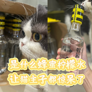 是什么创意柠檬蜂蜜水，让我家猫主子都惊呆了？！