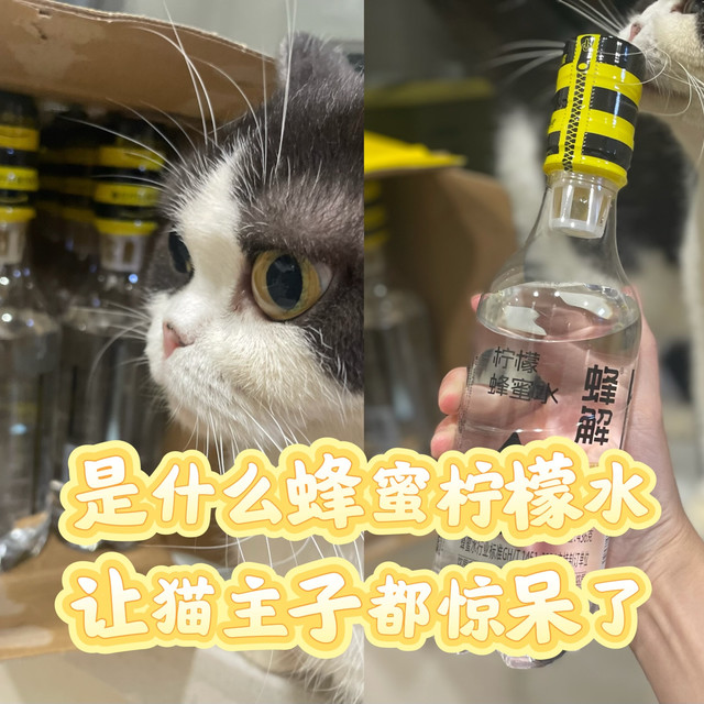 是什么创意柠檬蜂蜜水，让我家猫主子都惊呆了？！