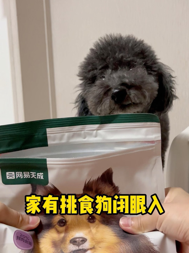 挑食小甜甜也爱吃的狗粮大餐
