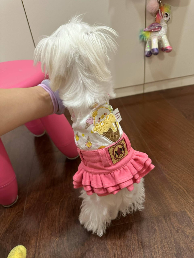 日和优宠狗狗干粮