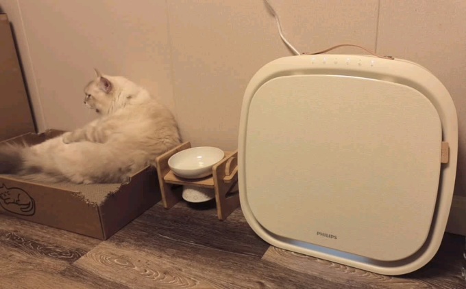 飞利浦其他生活电器