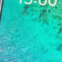 闲鱼选购vivo Y300t性价比高