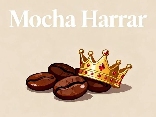 致敬埃塞系列七：Harrar产区——埃塞咖啡的无冕之王