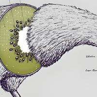 全球猕猴桃，都来自中国湖北这3粒种子？新西兰奇异果的前世今生