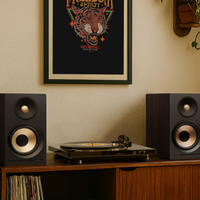 鉴赏|Polk Audio A100/A200:从客厅到桌面的全能宝藏音箱