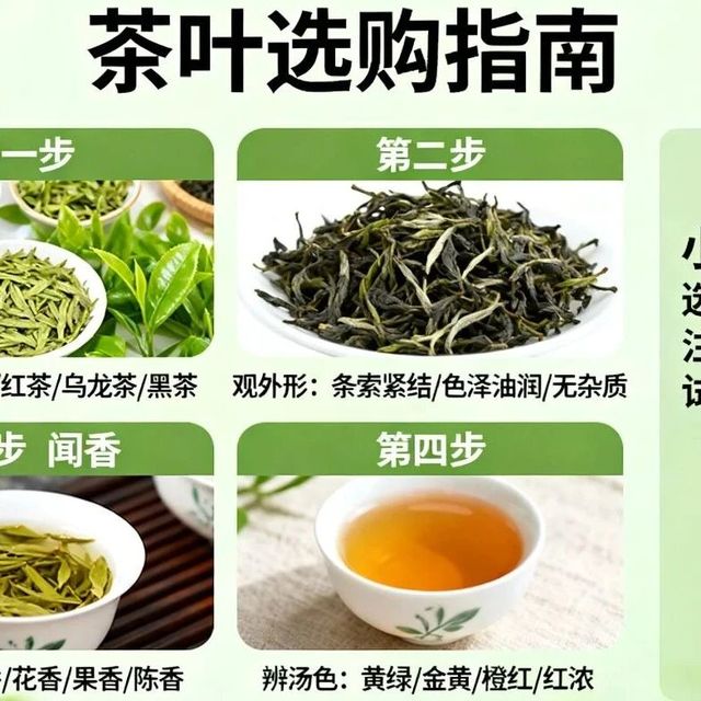 茶叶选购避坑指南：价格分析与选择技巧