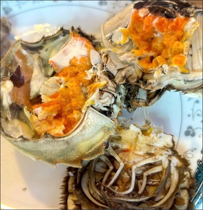 蟹爵蟹类
