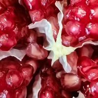 你喜欢吃石榴吗？你知道石榴有什么功效吗？