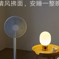 救命！米家这款落地扇，把“夏日续命神器”卷出新高度