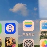 荣耀Magic7 Pro 5G性价比有些贵