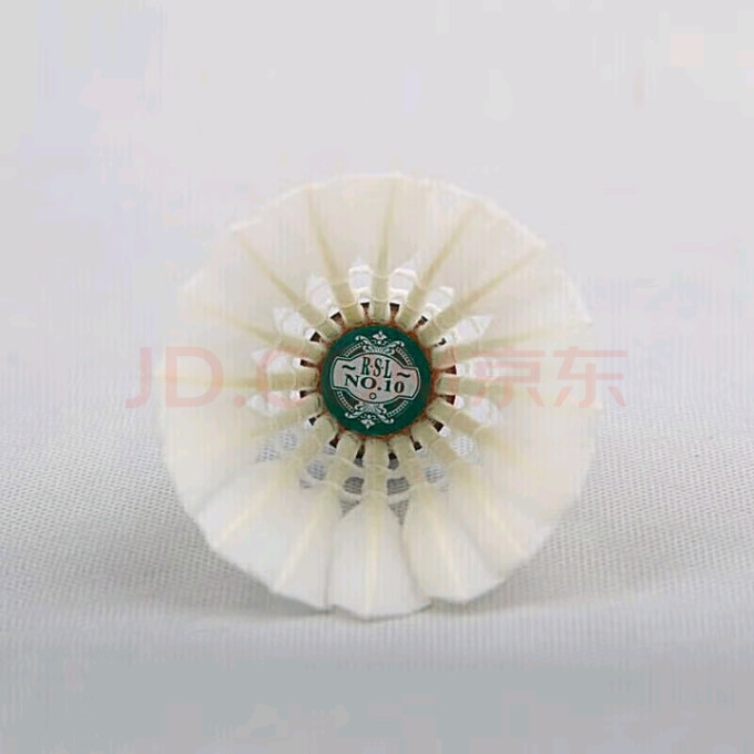 亚狮龙羽毛球