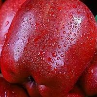 甘肃天水花牛苹果评测：粉面沙甜，高原馈赠的舌尖惊喜