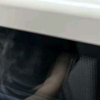 蒸烤炸一体！在家轻松做娃爱吃的健康美食