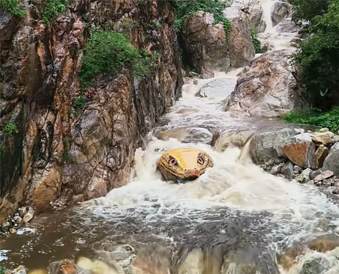 河南嵩山景区石头彩绘“巨型蛇头”已被覆盖:被指吓到人 原石已经有亿年历史