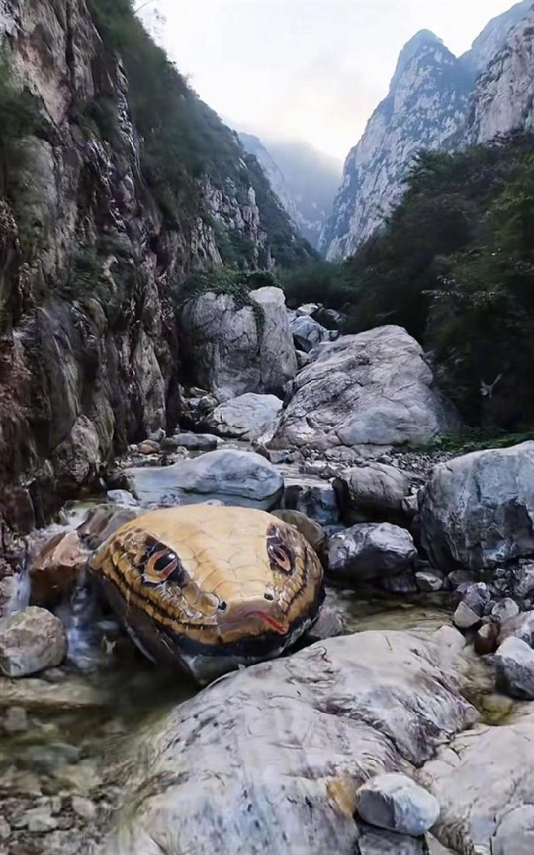 河南嵩山景区石头彩绘“巨型蛇头”已被覆盖:被指吓到人 原石已经有亿年历史