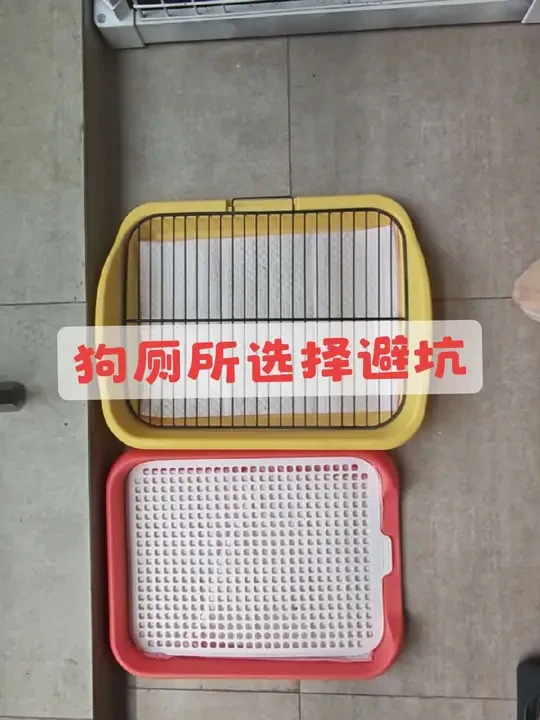 #柯基小短腿 #狗厕所 #狗厕所怎么选 如何才能买到一款满意的狗厕所