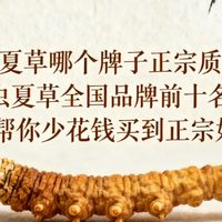 冬虫夏草哪个牌子正宗质量好?2025冬虫夏草全国品牌前十名大盘点