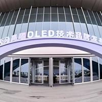 央视撒贝宁探厂刷屏：天马用天工屏给OLED换了一条新赛道！