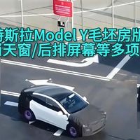 特斯拉Model Y毛坯房版！取消天窗/后排屏幕等多项配置，你会买吗