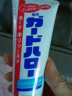 花王大白牙膏，清新口气一整天
