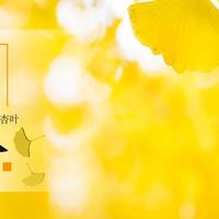 明天秋分，记得：吃1谷，咬2薯，尝3白，顺时而食，安稳一秋！