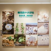 「一朵棉花改变世界」，全棉时代全球旗舰店盛大开幕