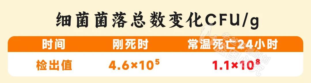 劝你吃螃蟹的原因,只有一个