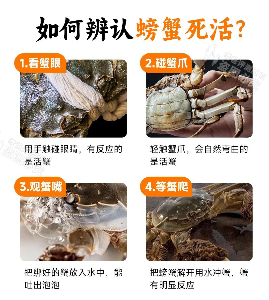 劝你吃螃蟹的原因,只有一个