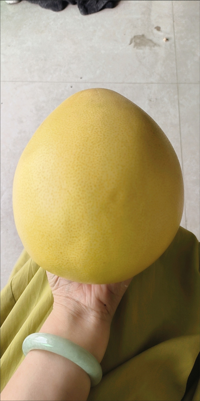 柚子