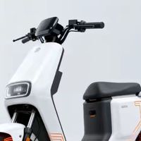 耐低温+15分钟快充80% 钠电电动车已上市 参考价曝光 贵不贵