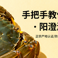 9月必吃！手把手教你分辨真·阳澄湖大闸蟹，别再花冤枉钱了！