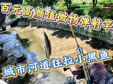 这支路亚杆有点好看哦